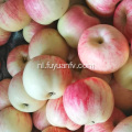 Shannxi Rode Gala-appels